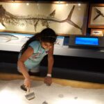 Museum Night